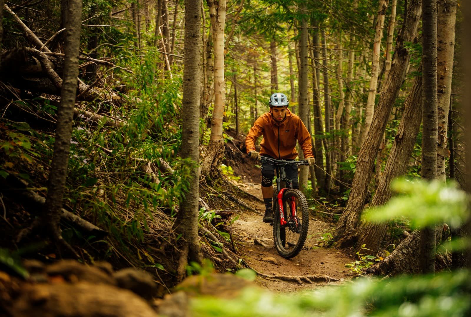 Sunlit singletrack through the forest in Door County
